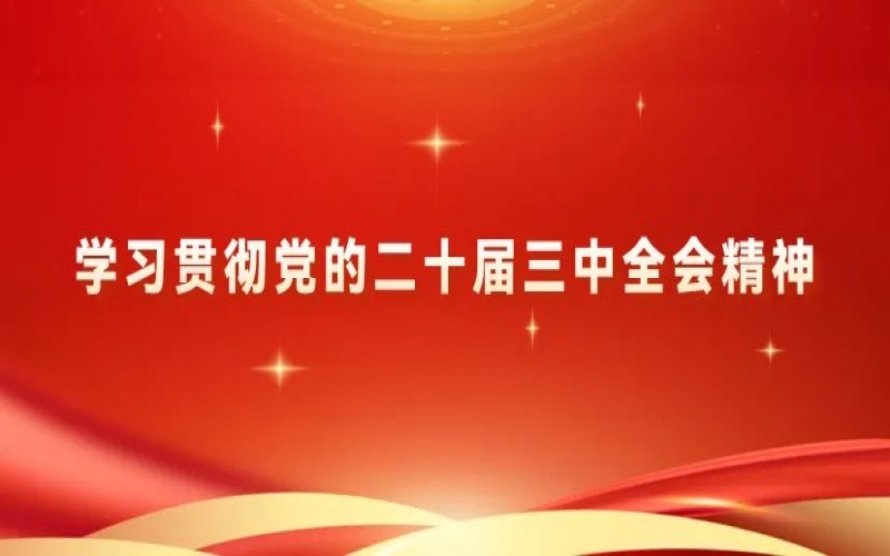 党建阵地 - 荣程集团党员干部学习贯彻党的二十届三中全会精神体会交流（四）